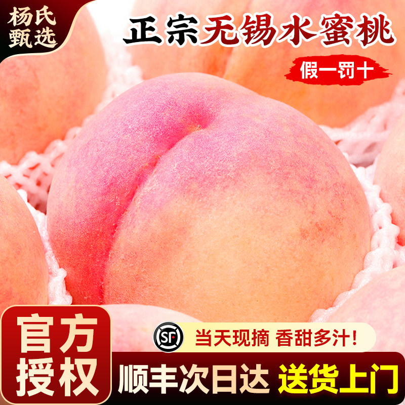 正宗无锡阳山水蜜桃子新鲜水果应当季整箱特大毛顺丰礼盒兑换卡