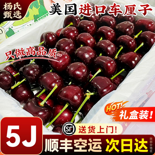 美国进口车厘子黑珍珠大樱桃
