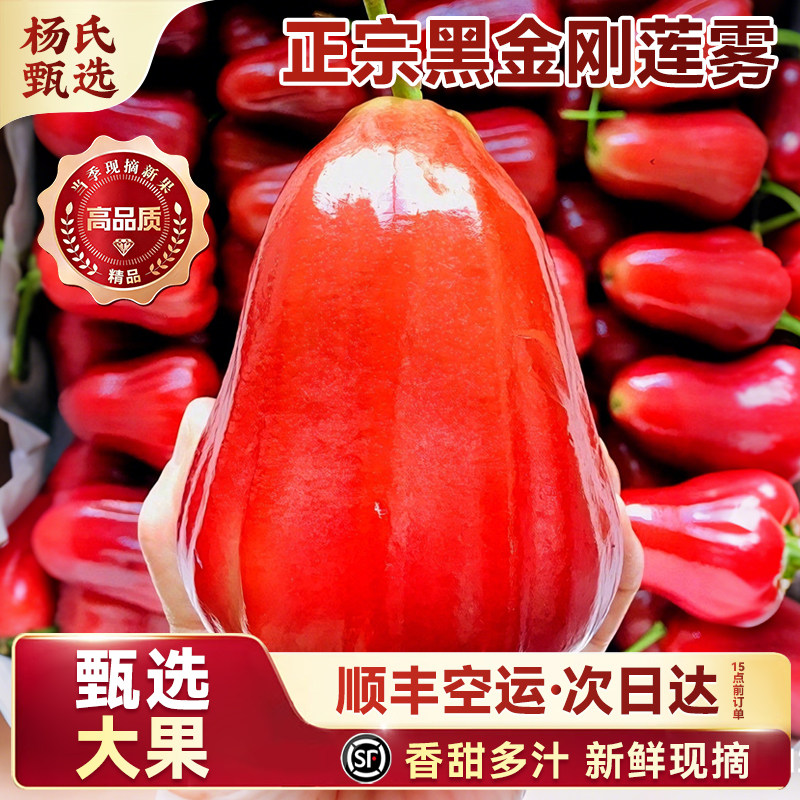 【顺丰送上门】海南黑金刚莲雾4斤水果莲雾果新鲜大果连整箱包邮