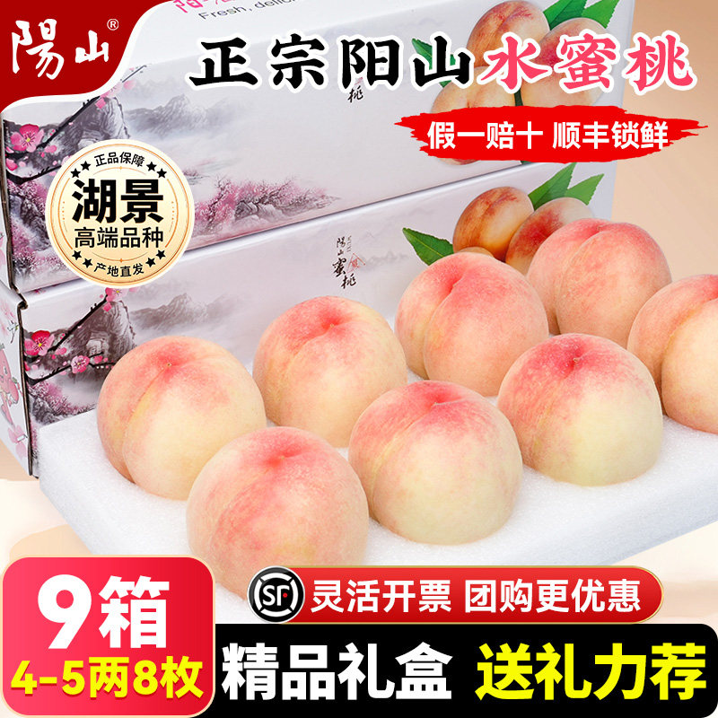 【9箱精品礼盒4-5两8枚】