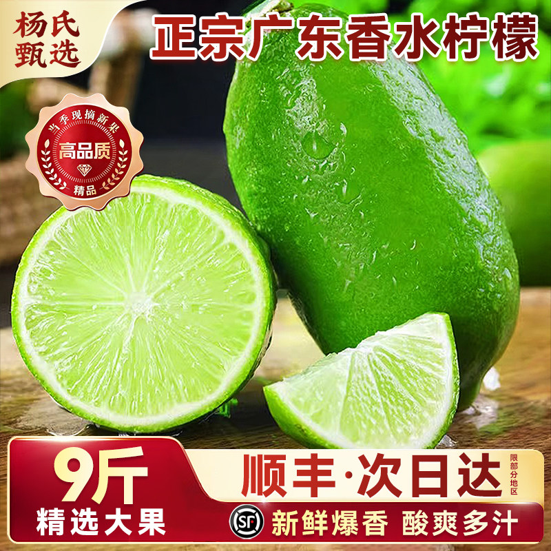 广东香水柠檬新鲜水果应当季9斤青皮薄一级无籽现摘酸奶茶店专用