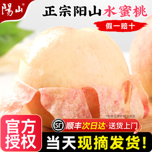 正宗无锡阳山水蜜桃子新鲜水果应当季整箱时令湖景特大毛礼盒旗舰