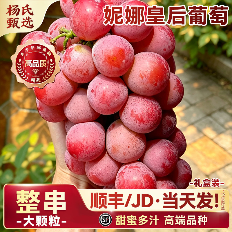 云南大理宾川妮娜皇后