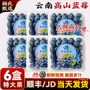 【6盒】云南花香高山蓝莓l25新鲜水果当季整箱现摘怡特大果兰梅颗