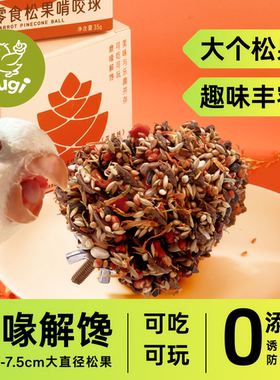 Gugi鹦鹉零松果啃咬磨喙解馋奖励训鸟玄凤牡丹小金太阳和尚奖励粮