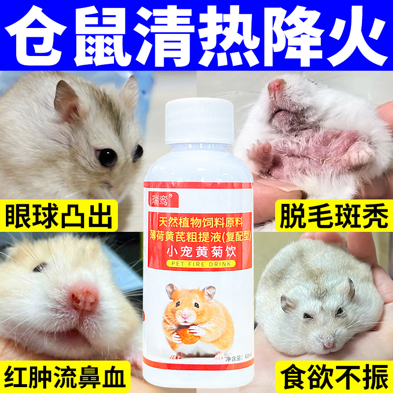 仓鼠上火眼凸掉毛清热降火凉茶