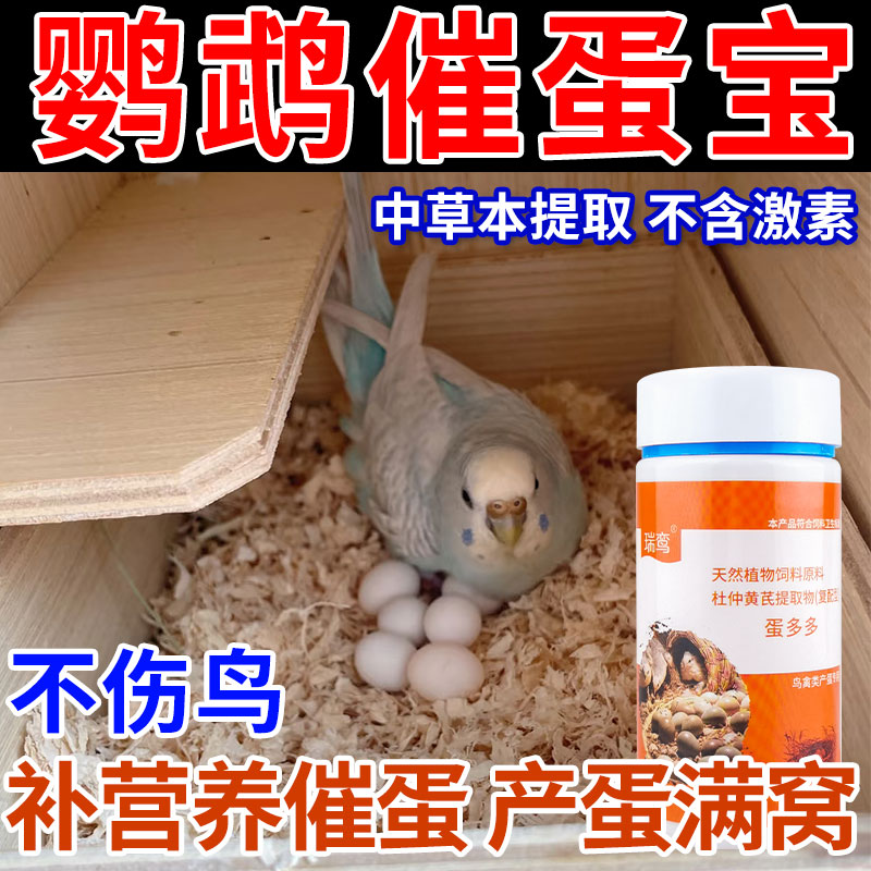 鹦鹉下蛋饲料蛋多多增蛋宝促繁殖配对提高受精鸡鸭鹅蛋禽鸟类通用