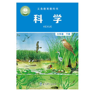 2025新版教科版小学六年级下册科学书课本教材教科版六年级科学书下册课本教材科学书六年级下册 教育科学出版社六6年级下册科学书