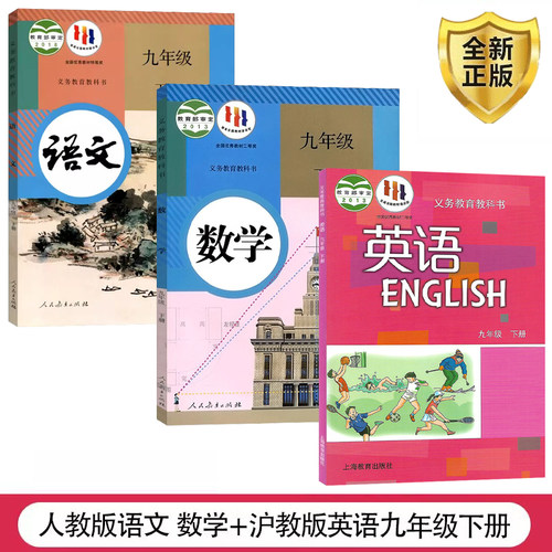 初中九年级下册人教版部编版
