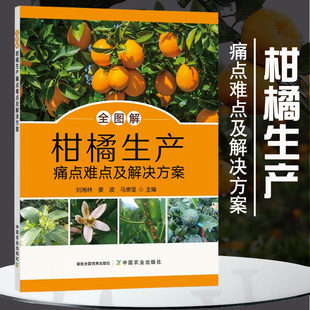 整形修剪 全图解柑橘生产痛点难点及解决方案 柑橘病虫害防治技术 芦柑砂糖橘桔子橘子树栽培技术大全 果树管理月历 柑橘种植书籍