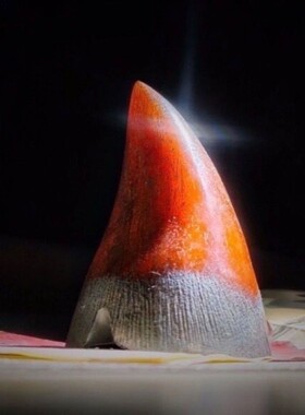 稀品保真披毛纯手工雕刻摆件镇宅