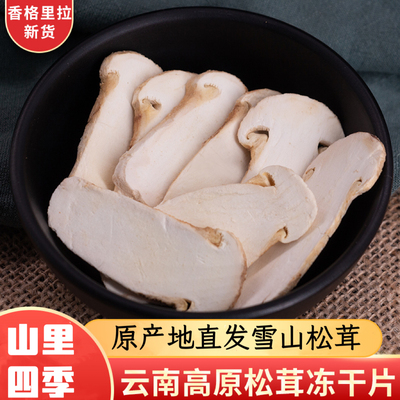 野生松茸菌云南特产雪山松茸山珍