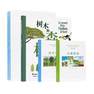 世界 年鑒兒童讀物親子科普繪本探索素材 大自然觀察手冊6本套裝 正版 樹木和森林 四季 讀小庫大自然畫冊一天一年一條河 自然圖鑒