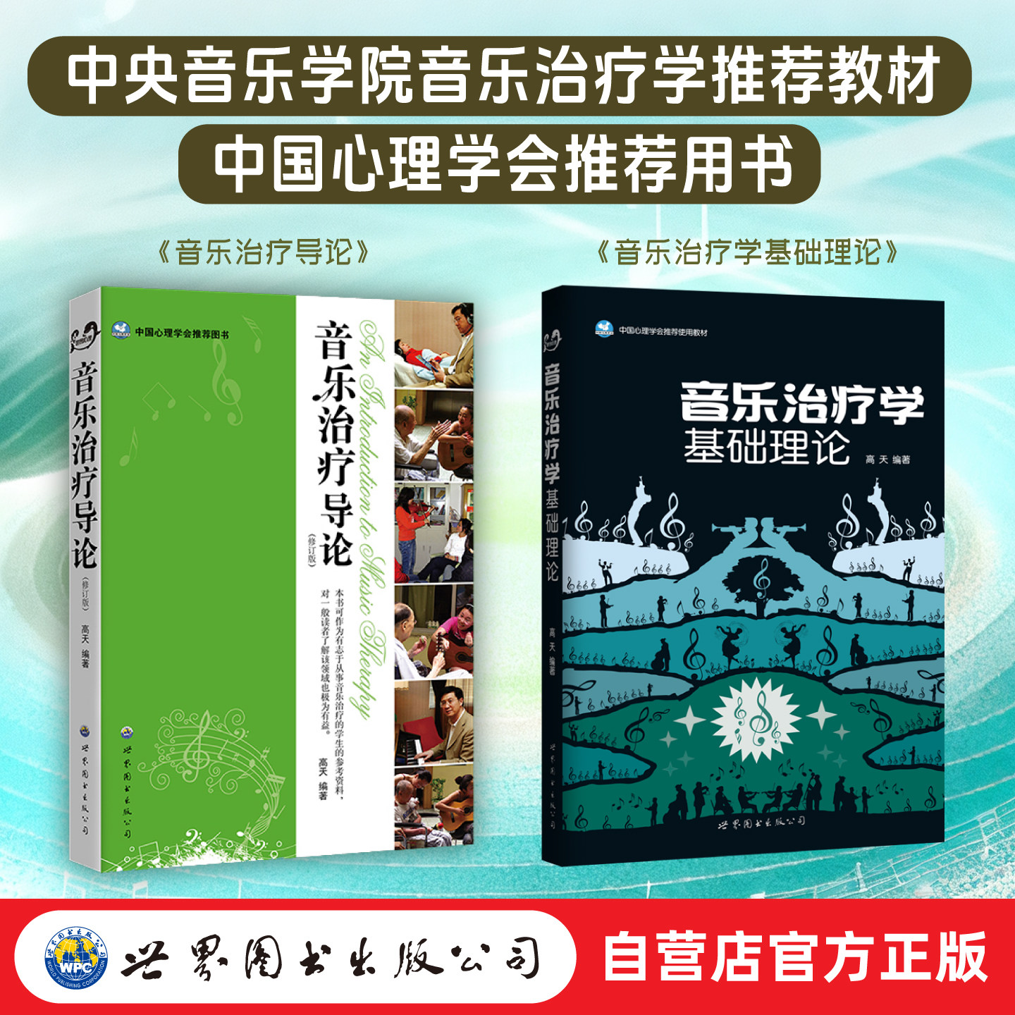 音乐治疗学基础理论+音乐治疗导论（修订版）高天 中国心理学会推荐用书图片