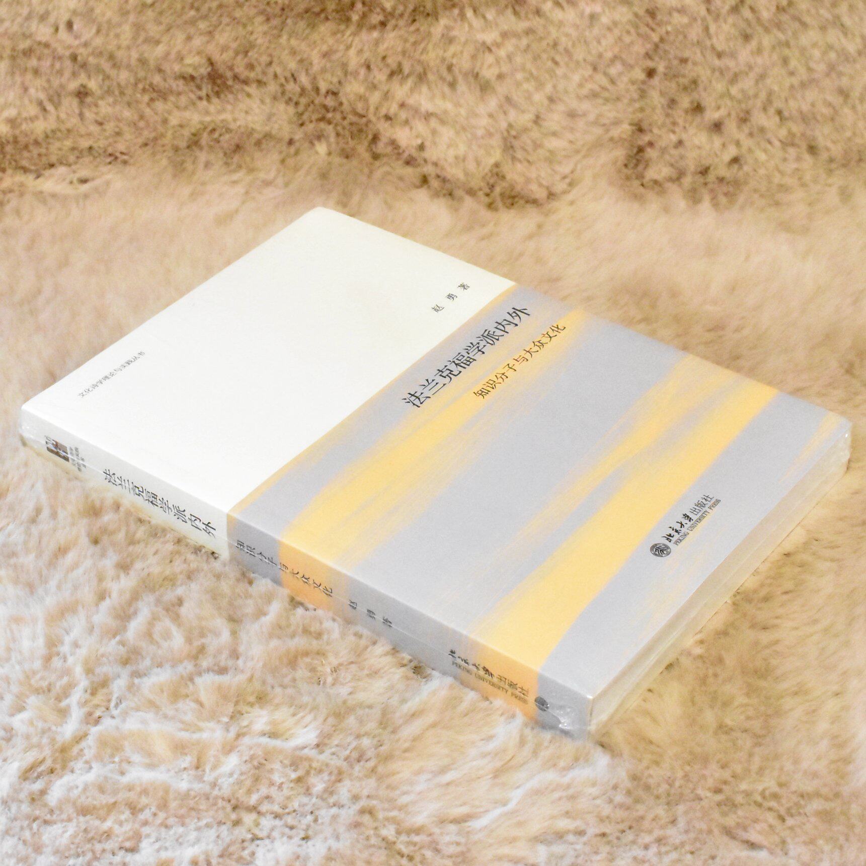 正版 法兰克福学派内外作者: 赵勇 出版社: 北京大学出版社