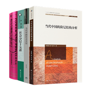 全新正版 读懂中国分层四书 当代中国的阶层结构分析 当代中国社会分层 社会分层十五讲 权力与特权