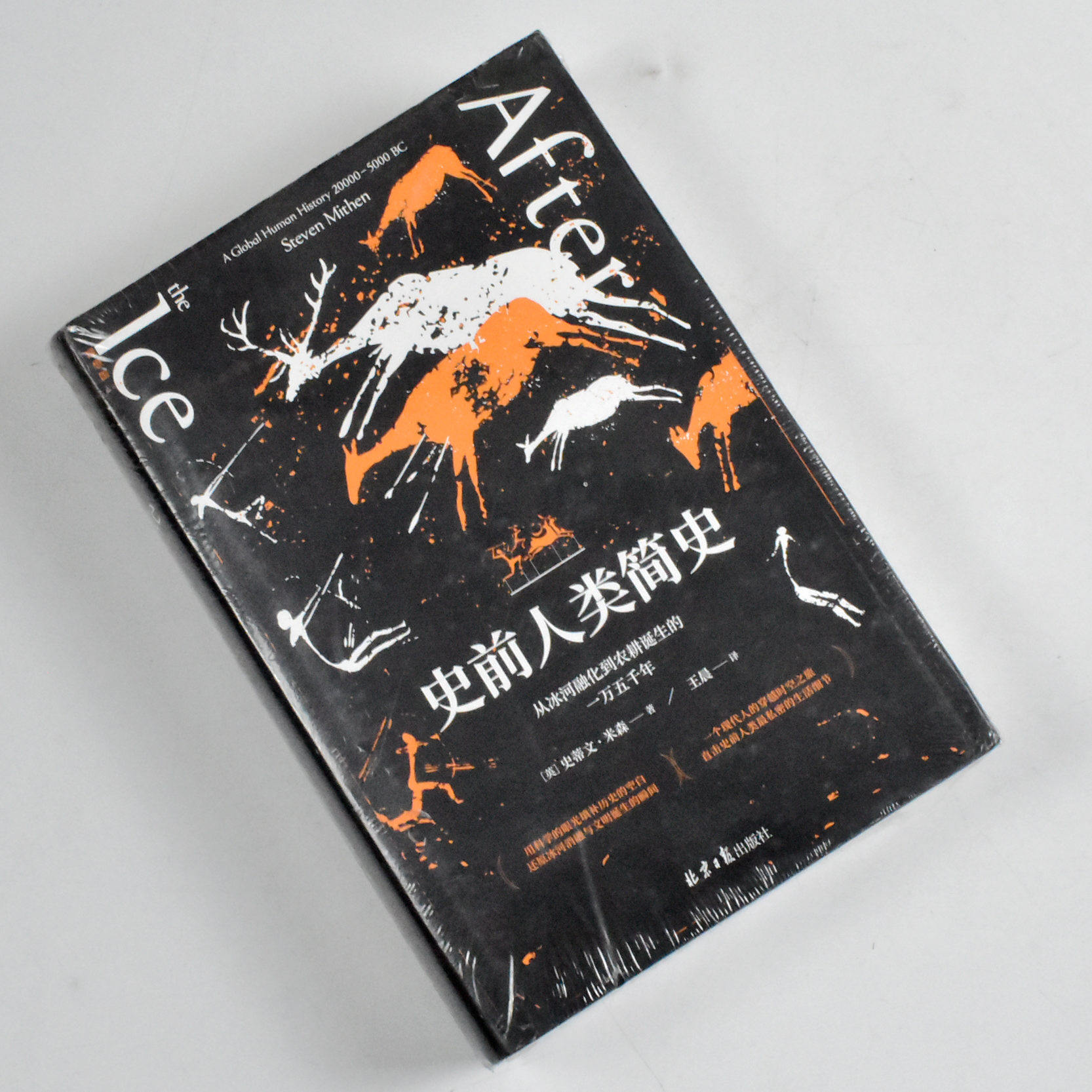 史前人类简史: 从冰河融化到农耕诞生的一万五千年  正版全新作者
