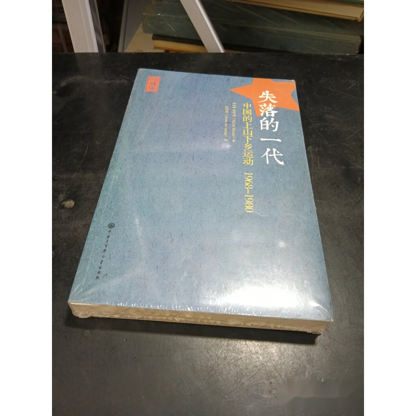 失落的一代：中国的上山下乡运动1968-1980（珍藏版） [法] 潘鸣啸 著； 欧阳因 译 / 中国大百科全书出版社 / 2013-09 / 平装