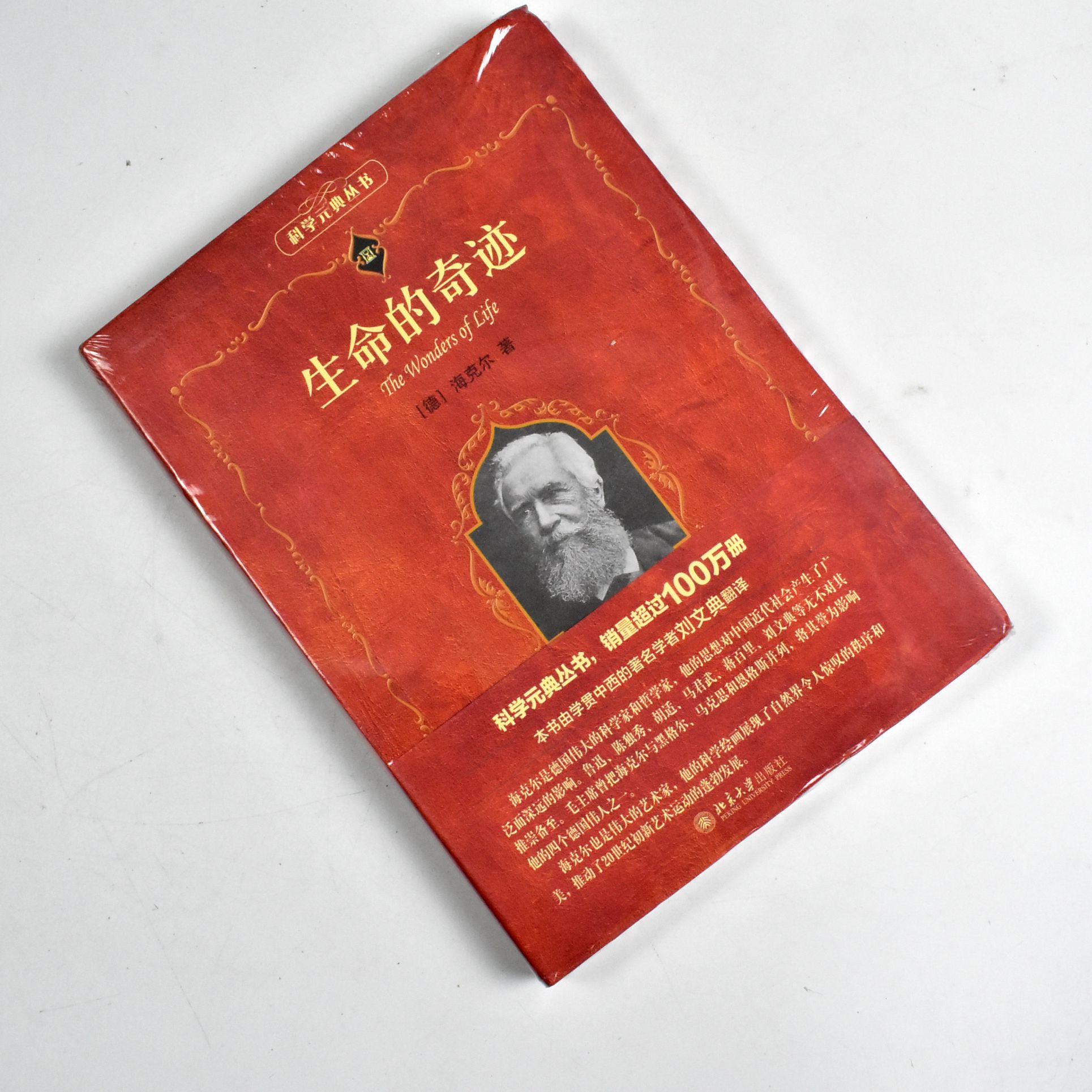 生命的奇迹
