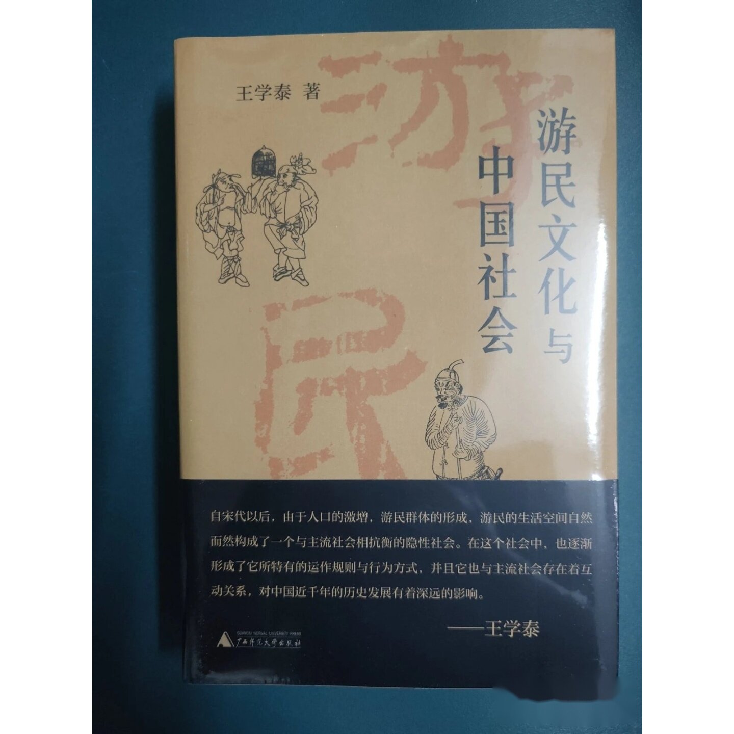 保证正版 游民文化与中国社会 王学泰 著 下午四点前付款当日发货 广西师范大学出版社