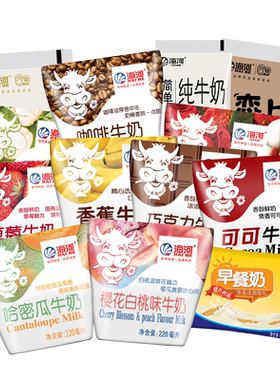 海河牛奶10袋可可巧克力20种口味