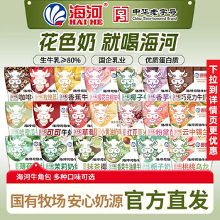 海河牛奶220ml 儿童学生早餐奶可可巧克力风味奶 10包整箱旗舰款