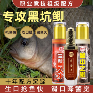 添加剂 专攻鲫鱼小药黑坑散炮专用野钓大鲫鱼进口黑坑钓鱼小药套装
