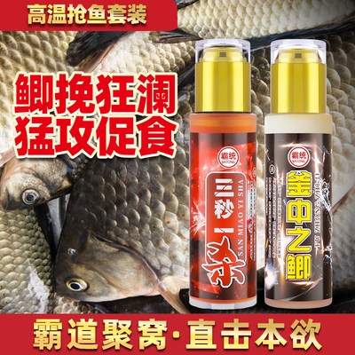 鲫鱼小药黑坑专用套装