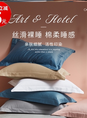 枕套60cmx90cm特大特大号纯棉不含芯加大枕头套 60x9050cmx80cm