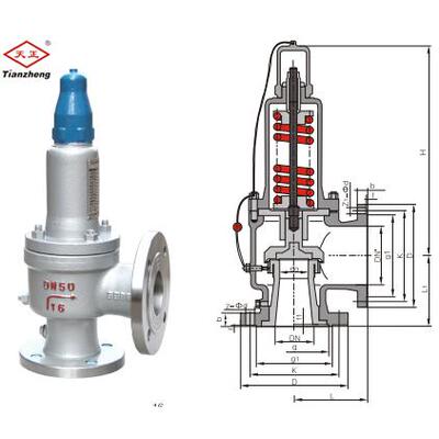 中国天正安全阀A42Y-16C/PR铸钢不锈钢304法兰全启式锅炉排气体阀
