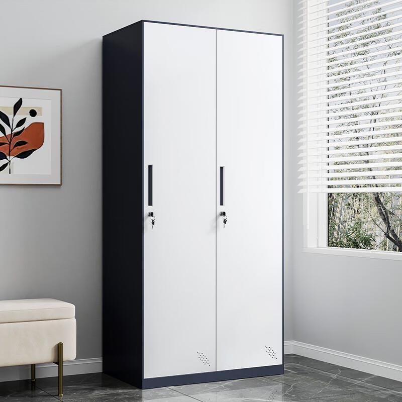 奈高奈高更衣柜铁皮柜健身房浴室员工职员柜灰白二门更衣柜