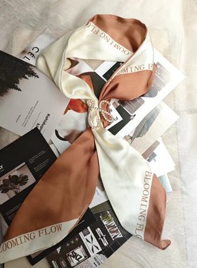 Pbpr法式复古长条丝巾领带气质搭配衬衫高级感小众新爆款马赛领巾