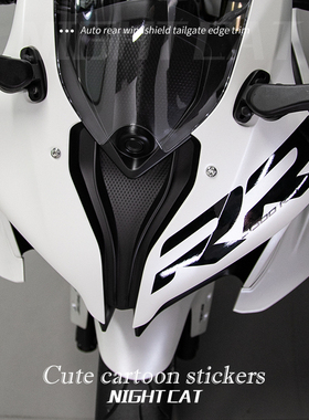 摩托车仿赛车头双R贴纸无极钱江川崎春风RR张雪贴花宝马凯越拉花