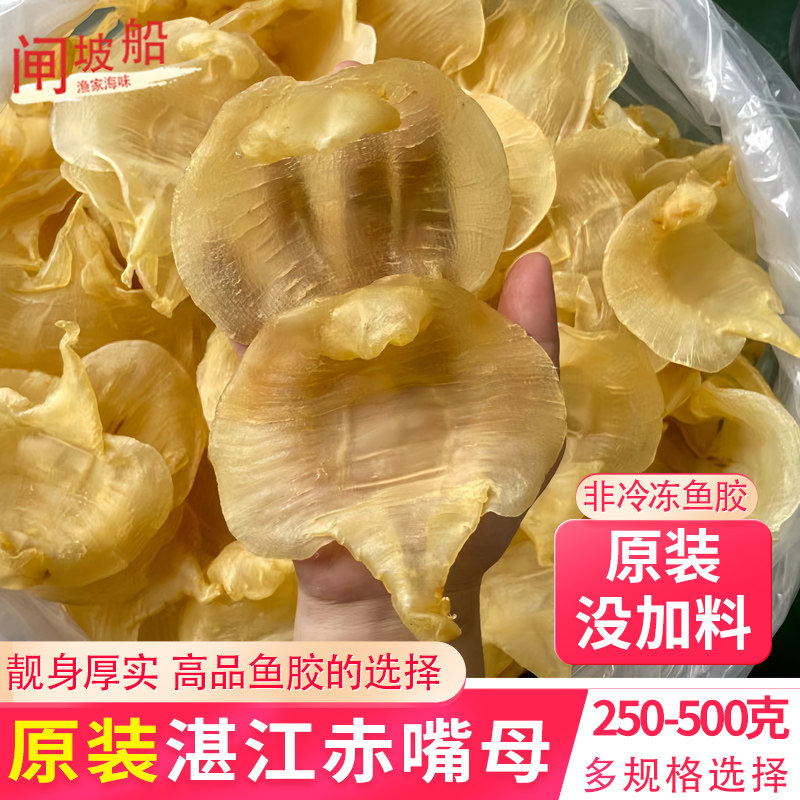 正宗湛江赤嘴母鱼胶滋补海产鱼肚花胶赤嘴鳘鱼胶煲汤食材原装鱼胶