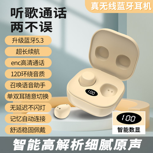 奔腾号5.3IXP5超小型半不入耳