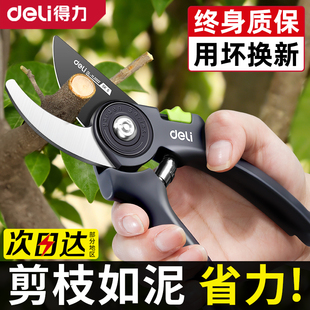 得力修枝剪树枝剪刀果树园林树枝花艺修剪花剪园艺剪子剪粗枝工具