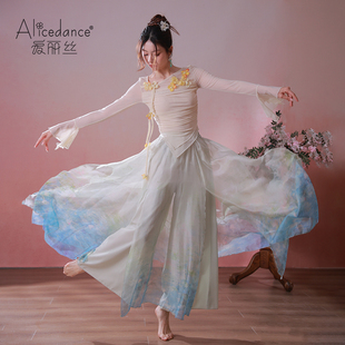 alicedance现代舞蹈裙飘逸演出服套装古典舞蹈纱衣成人练功服裙子