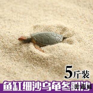 养乌龟的冬眠产蛋沙下蛋沙乌龟细沙土鱼缸沙龟蛋孵化专用细沙沙子