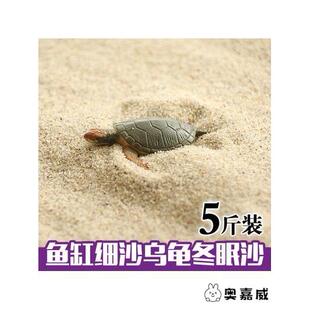 养乌龟的冬眠产蛋沙下蛋沙乌龟细沙土鱼缸沙龟蛋孵化专用细沙沙子