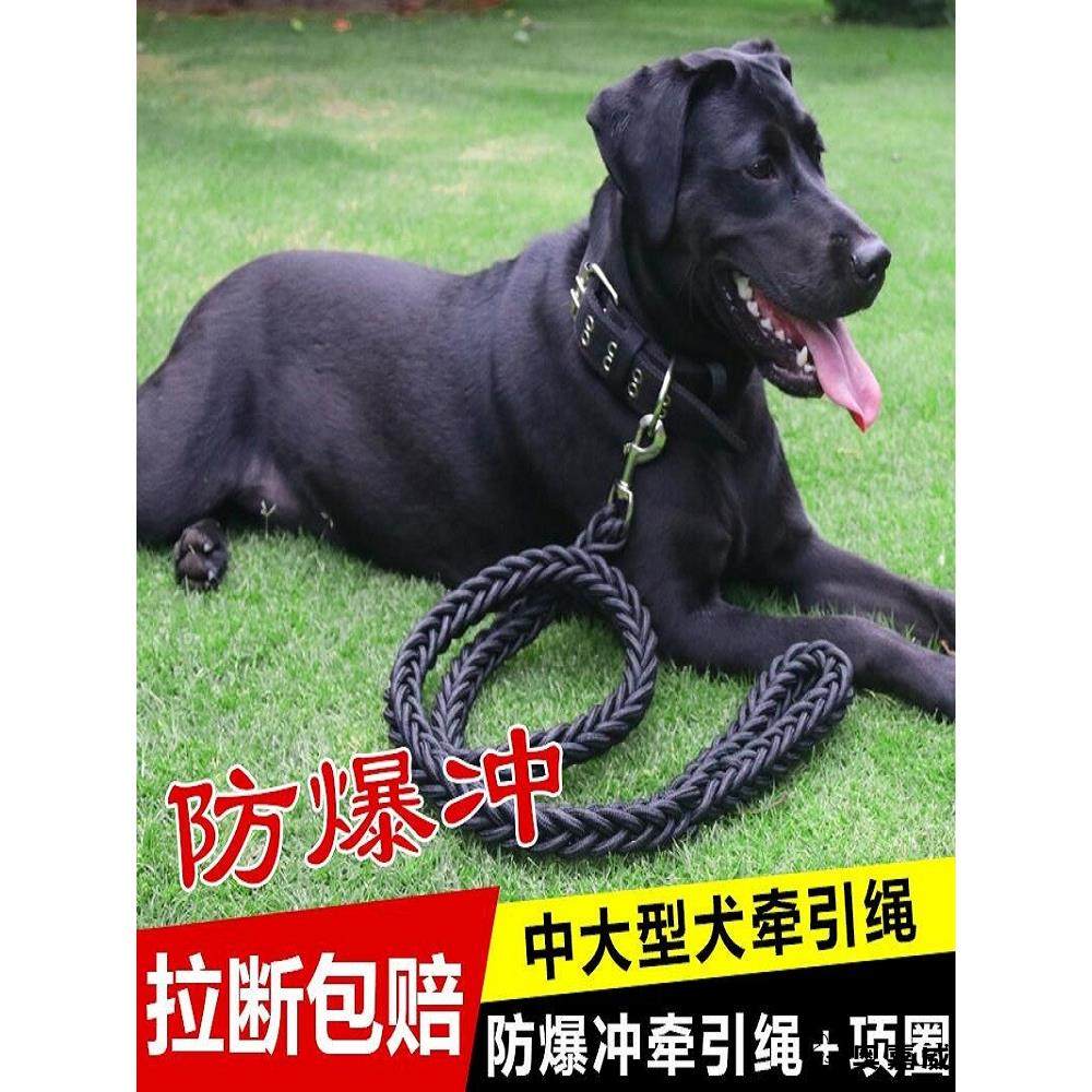 狗狗牵引绳大中型犬遛狗绳子金毛拉布拉多德
