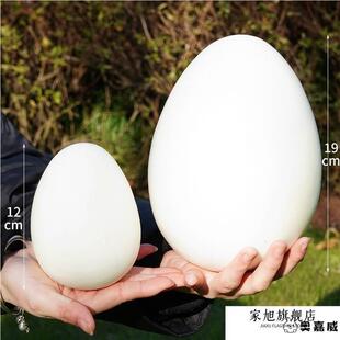仿真鸡蛋鹅蛋鸭蛋鸵鸟蛋恐龙蛋鹌鹑蛋巨蛋假鸡蛋模型橱窗摄影道具