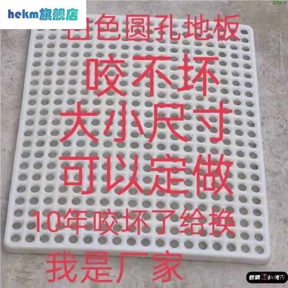 兔笼脚垫兔子防啃咬底板加厚狗笼塑料漏粪板笼子垫板宠物兔用网格,宠物/宠物食品及用品,兔兔脚垫,淘宝优惠券,粉丝福利购,淘宝优惠卷