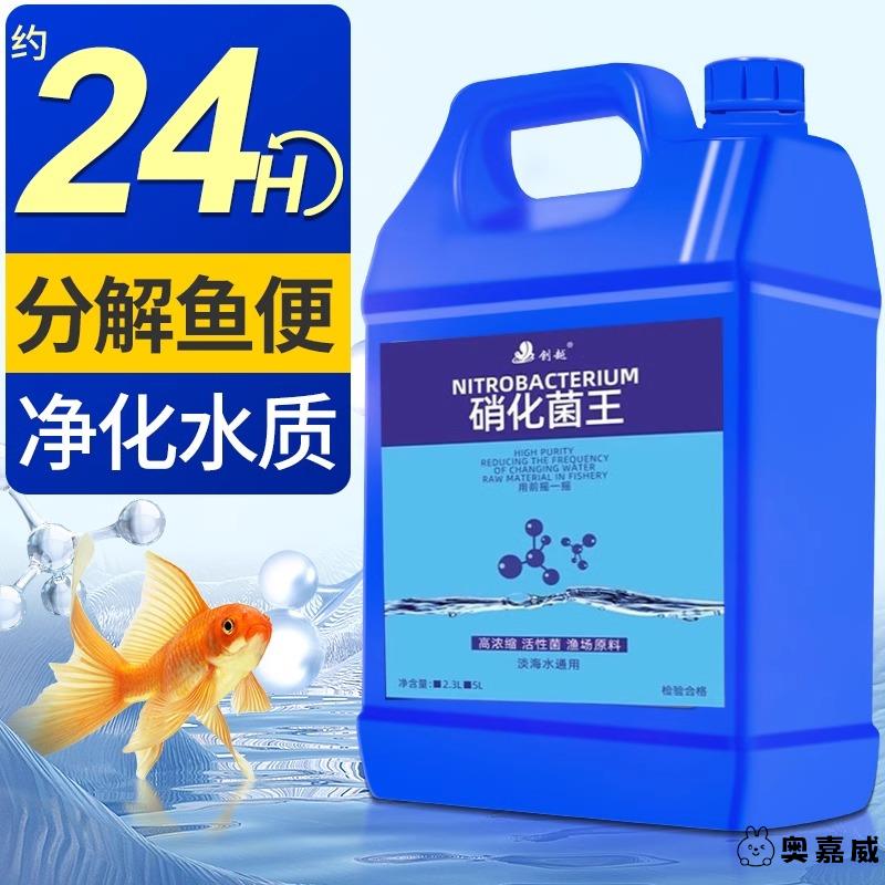德国硝化细菌鱼缸专用除藻剂消化活菌稳定剂