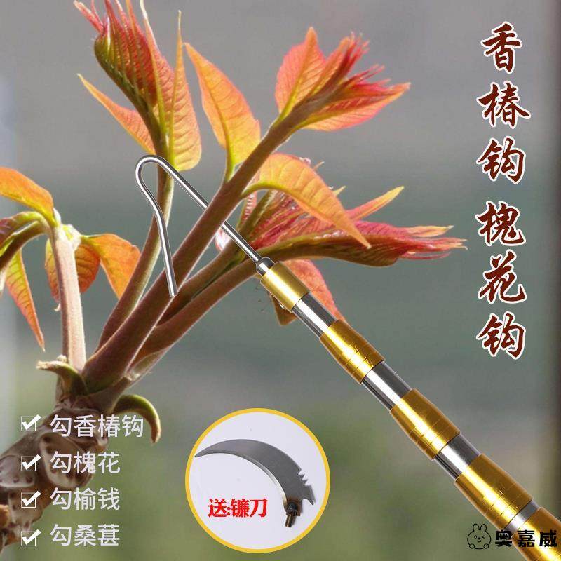 不锈钢不锈钢冰淇淋西餐餐具套装