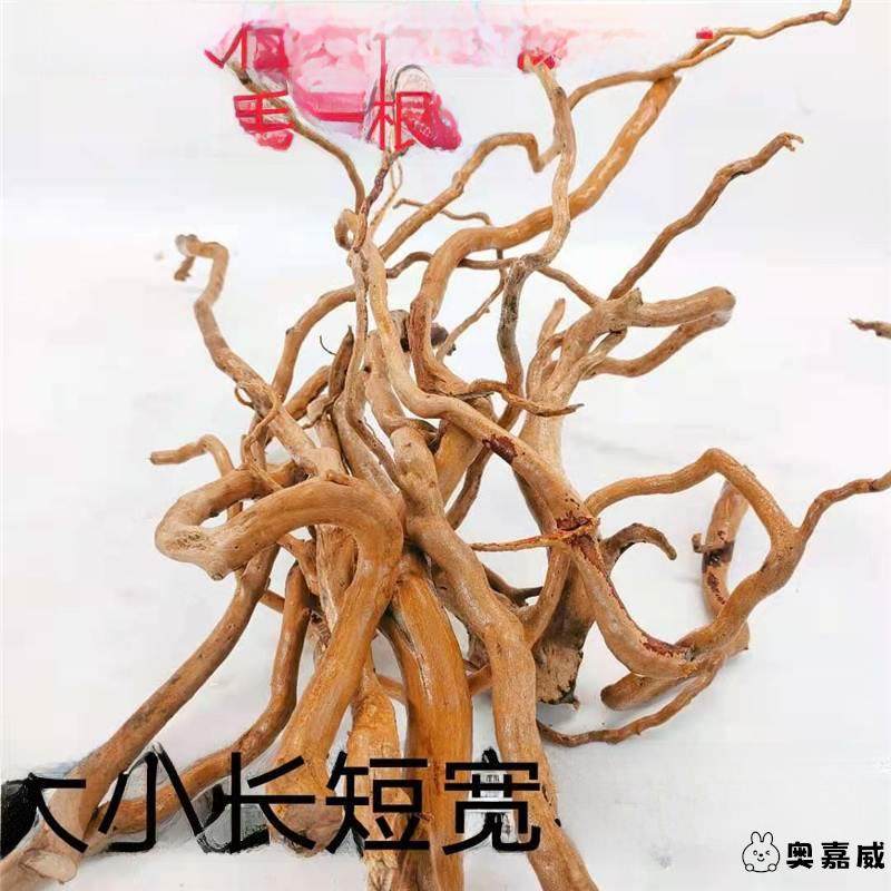 杜鹃枝条水草须根细枝南美树枝沉