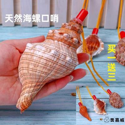 天然海螺号角可吹喇叭口哨超大贝壳哨子儿童玩具哨小螺号能吹响的