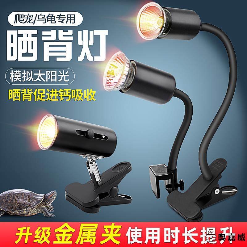 uvauvb太阳灯冬季乌龟加热取暖晒