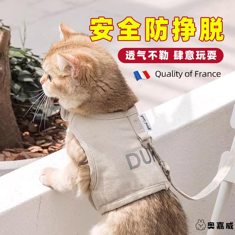 牵引绳法国品质猫咪绳子挣脱背心