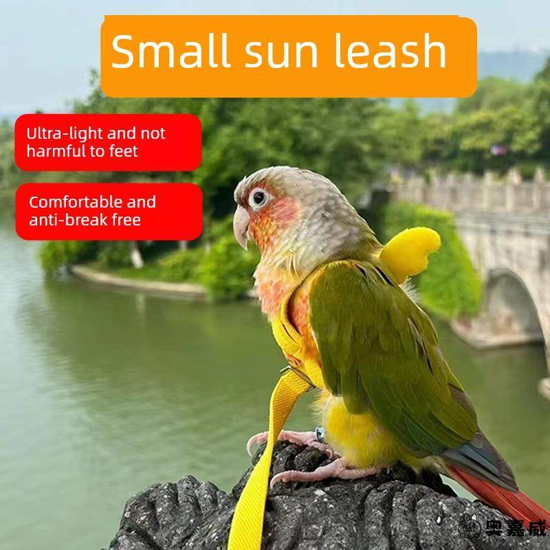 小太阳牵引绳鹦鹉外出超轻放飞绳背心弹力专鸟用带虎皮用玄凤牡丹,宠物/宠物食品及用品,鸟用放飞绳,淘宝优惠券,粉丝福利购,淘宝优惠卷