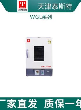 泰斯特WGL-65B/125B立式鼓风干燥箱WGLL-30BE/45BE液晶屏控制
